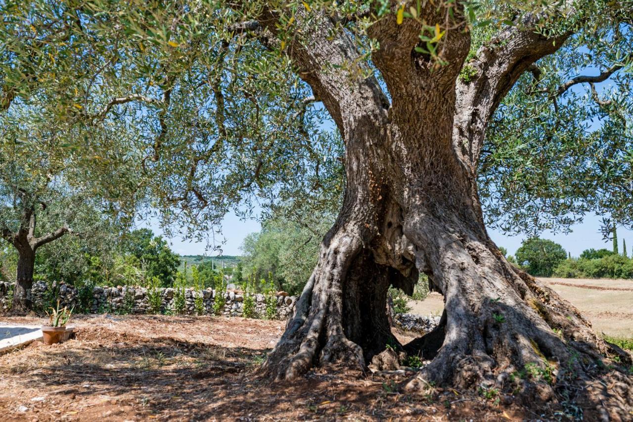 Il Trullo Della Rondinina Villa Alberobello Exterior photo